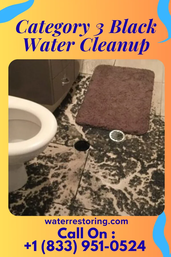 Category 3 Black Water Cleanup in Barnegat Light, NJ