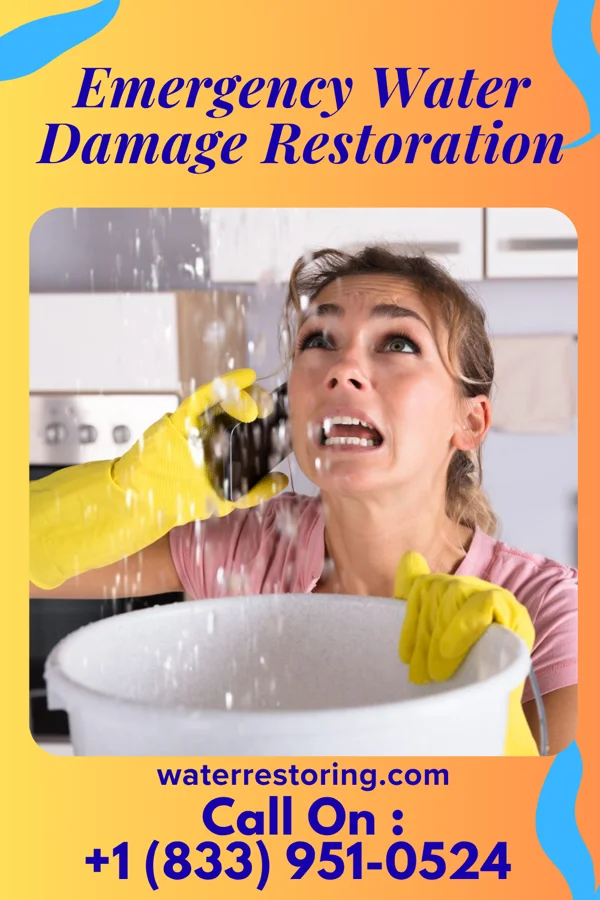 Emergency Water Damage Restoration in Barnegat Light, NJ