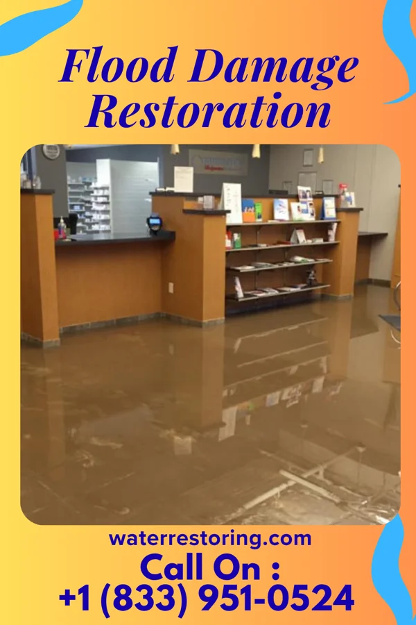 Flood Damage Restoration in Barnegat Light, NJ