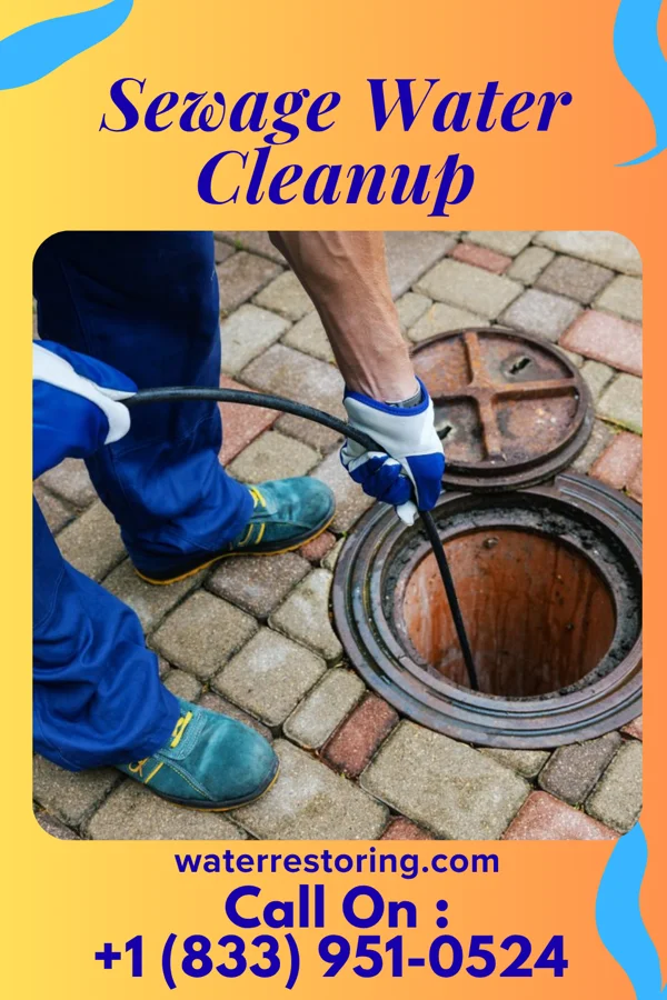 Sewage Water Cleanup in Barnegat Light, NJ